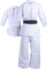 Hayashi Bunkai 2.0, Karate Gi, WKF Approved Bagside